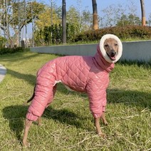 도기스타 아이쥐 패딩 이탈리안그레이하운드 휘핏 베들링턴테리어 겨울 옷, 핑크