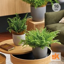 [S.K Since 1893] 독일 도자기 세라믹 인테리어 화분 바젤 스톤(16cm), 16cm:그레이 브라운스톤 이펙트