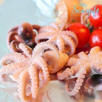 [씨기프트]냉동 손질 쭈꾸미 2.4kg 8미 업소용 주꾸미 볶음용, 단품