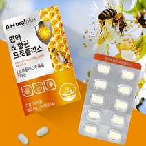 면연력에좋은 영양제 몸속염증제거 입헐었을때 씹어먹는 츄어블 프로폴리스 60정 2개월분, 120정 4개월, 4개