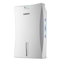 제습기110v 220v 지능형 제습기 에너지 절약 수분 흡수기 건조 의류 정화 공기 원 버튼 작동 가정용, 05 C 110V_01 Eu 플러그