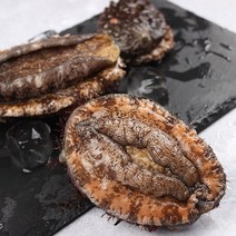 산지직송 거제도 해녀 특대 명품 자연산 전복 1kg(4~6미), 단품없음