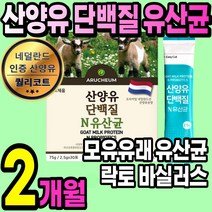 프리미엄 산양유 단백질 1통 모유유래 유산균 분말 가루 스틱 고함량 초유 유청 프로틴 보충제 락토바실러스 쉐이크 아침 간식 담백질 성장기 어린이 청소년 수험생 여성 남성 노인 추천, 2통(2개월)
