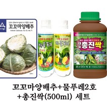 꼬꼬마양배추(100립)+대유 물푸레 2호+총진싹(500ml) 세트 고채류용 수경재배용 양액비료 총채 친환경 살충제 *주렁주렁오이 꼬꼬마양배추 파프리카 적환무 수경재배용*