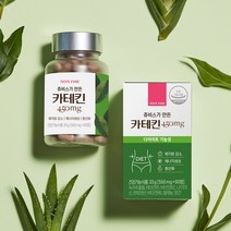 쥬비스가 만든 카테킨 450mg 다이어트 효능 항산화 녹차, 60정, 1통