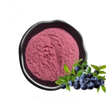 블루베리농축분말 1kg, 단품, 단품