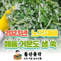 [돌산총각] 국산 노지재배 해풍 맞고 자란 거문도 쑥, 해풍맞은 생쑥 1kg