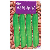 청농 적작두콩씨앗 10립, 단품