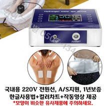 윈윈글로벌 싱글4세대 디톡스 족욕기 자기장 족욕 몸속독소제거, 디톡스족욕기, 해운(영업일기준9일)