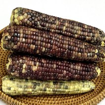 건강의정석 쫀득쫀득 고소한 농협 찐 냉동 흑찰옥수수 검정옥수수 자색옥수수, 5) 찐 냉동 흑찰옥수수 9개(3개x3팩)