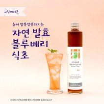 [한국인의밥상출연] 블루베리 식초 300ml 고창베리촌 천연발효식초