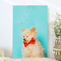 강아지 고양이 애완동물 반려동물 반려견 사진 방꾸미기 인테리어 캔버스 액자, 10별빛포메라니안