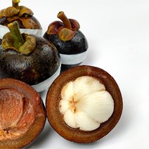 신정푸드 과일의 여왕 태국산 망고스틴 500g, 7-9과