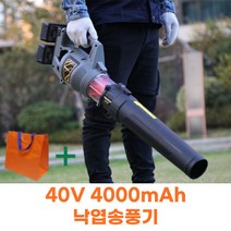 알비마켓 낙엽송풍기 무선 송풍기 40V 눈치우는기계, 배터리2개 세트