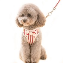 예쁜 비비드 고양이 강아지 목줄 가슴줄 하네스, D타입-L
