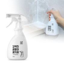 [깔끔대장] 깔끔대장 강력한 곰팡이제거제, 300ml, 1개