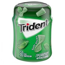 Trident 트라이던트 스피어민트 껌 50개입