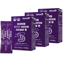 식약처 기능성 인증 차전자 차전차피 쾌변 장 청소 건강 기능 식품 숙변제거 질경이씨앗 똥안나올때 숙변환 황금변 에좋은 보조제 데일리 영양제 하루 한포