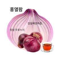 무안 황토 자색 양파즙, 50포, 110ml, 110ml