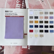팬톤 조색표 코팅 팬텀칼라칩 팬톤컬러 페인트 북, 컬러 카드