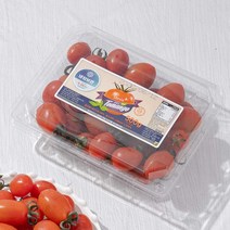스테비아 대추 방울 토마토, 500g, 3팩