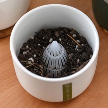 투명 수태망 배수판 화분 깔망 플라스틱 배수 패드 5개 수태봉 식물 농자재 쇼핑몰 풍란 분갈이 도구 다육이