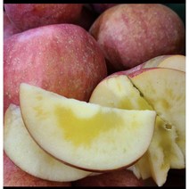사과 유명한 곳 경북 홈골농원 꿀 사과 가정용 한박스 10kg, 사과  기스사과 크기혼합(주스용)10kg