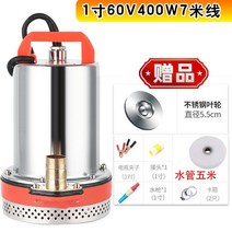 전동차 V24V 직류 잠복해 있다 O 펌프 48V60V 배터리 양수기 가정용 농용 선박용 우물이다 2523261583, 1인치 60V400W 7메터 스텐레스