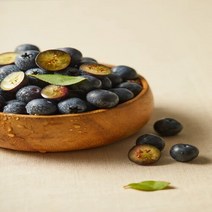 칠레산 맛있는 생 블루베리 125g x 3팩, 단품