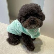 페시얌 강아지 후리스 젤리곰돌 수면 조끼 겨울 옷, 민트