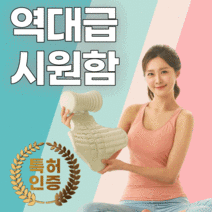 밸런스냅 목 허리 스트레칭 기구 거북목 라운드숄더 교정기 척추 골반 틀어짐 교정, 퓨어화이트