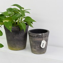 베트남 토분 블랙 가리팟, 19호, 화분단품