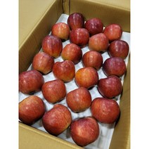 햇홍로 사과 미니사과 한입사과 루비에스 한박스, 루비(꼬마)사과, 2kg(40~54과)내외