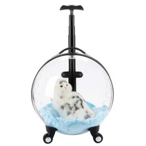 고양이 강아지 캐리어 백팩 가방 야외 여행 풀러 케이스 아웃 투명 수하물 대용량 여름 스위트, 분명한