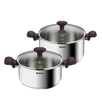 테팔 NEW 차세대 냄비 + 후라이팬 티타늄 스테인리스, (인덕션)테이스티쿡 (양수20cm + 양수24cm)