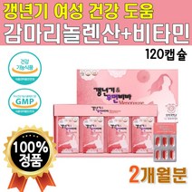 식약처인증 감마 리놀렌산 보라지유 감마리놀렌산 2개월분 120캡슐 1통 캡슐형 네덜란드산 프리미엄 보라지유 보라지종자유 감마리놀 감마리놀산 감마놀렌산 감마레놀산 개별포장