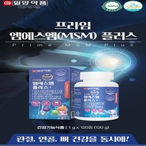 프라임 엠에스엠 플러스 msm nsm msn 엠에스엔 엔에스엠