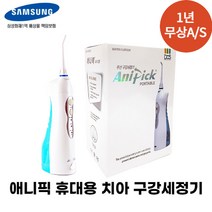 [1년 무상A/S] 애니픽 휴대용 무선 치아 구강세정기, 애니픽 포터블