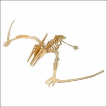 일음쇼핑^^m3D 입체 나무 공룡 프테라노돈 만들기 과학교구 학습 공부 교육용 DIY 실험 학습용일medi^^, ab^^선택없는