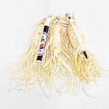 6년근 삼 인삼수삼 세척인삼 진공포장 원수삼, (무료세척)원수삼 3뿌리 500g