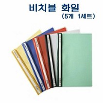 RT F204 A4 PVC 비지블화일 5개 1세트, 단품