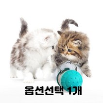 고양이 간식 볼 댕냥이 장난감 펀치놀이 냥이 반려묘 노즈워크 컬러선택 1개, 오뚝이 통 블루그린