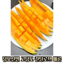 달콤한 고당도 과즙 칸탈로프메론 4~9kg(2~5수) 칸탈로프 국산 멜론 메론 칸탈로프멜론 프리미엄 당도선별 꿀메론 꿀 멜론 꿀멜론 고당도 고당도메론 주황메론 주황색메론 노을메론, 8~9kg(4~5수), 1개