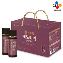 CJ 한뿌리 선물세트 배도라지 달임진액 100ml, 30병