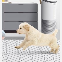 푹신한 어린이 놀이방 쿠션매트 강아지 층간소음 헤링본 어린이집 거실 방지 애견, 헤링본화이트 논슬립매트 화이트 1.5M