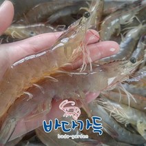 [바다가득] 탱글탱글 식감이 살아있는 국산 급냉 왕새우 1kg 31~39마리
