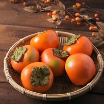 바른식탁 아삭아삭 단감 3kg/5kg/10kg 크기선택, 07.단감 5kg 꼬마소과