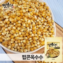 2022년 맛봉달 팝콘 옥수수 옥수수알 생옥수수 미국산, 1개, 10kg 마대포장