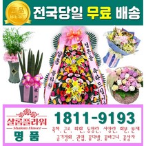 수국장미꽃배달 수국장미생화 수국장미선물 카네이션꽃바구니 개업화분해피트리 개업화분대형 정품생화화환 공연축하꽃 생화부케 사계절꽃 4계절꽃 조화부케 예쁜개업화분 비누꽃한송이 꽃한송이, 1.축하3단
