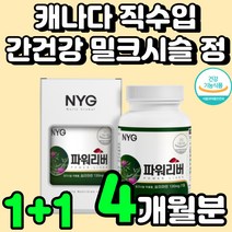 캐나다 직장인 밀크 티슬 씨슬 간 보호 건강 식품 실리마린 추천 간에 좋은 기능 중년 남성 고함량 30대 남친 60대 아빠 생신 선물 활력 기운이 없을대 개선제 피로 영양제 추천